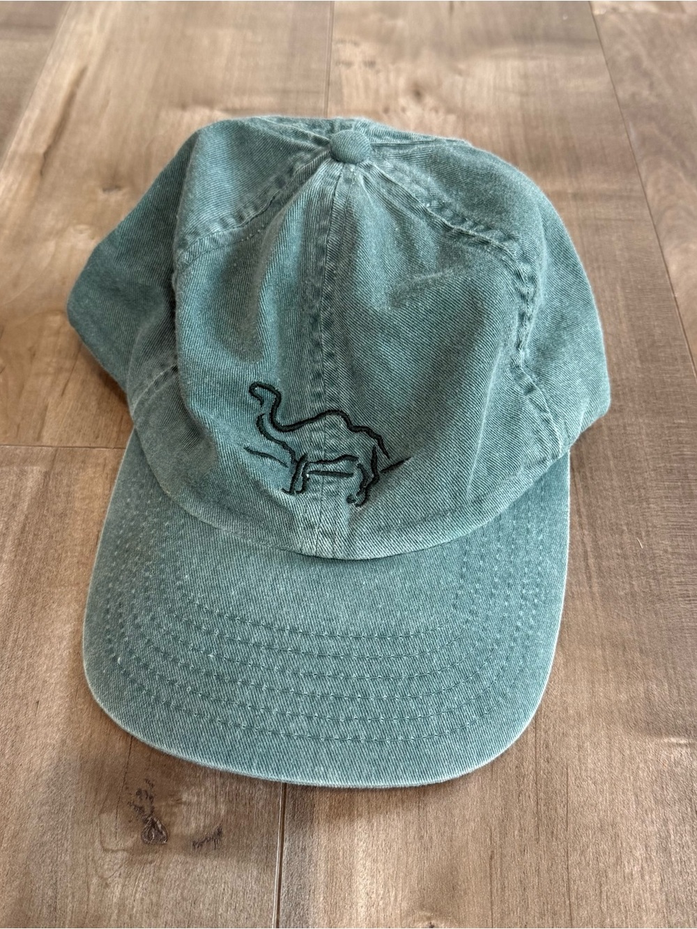 Vintage Camel Cigarettes Baseball Hat Cap Green Joe Camel 1997 Adjustable Stitch